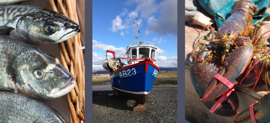 Fresh Crab and Lobster, Aberdovey, Wales